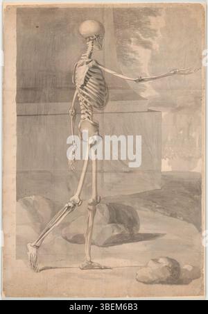 Questa visione laterale dello scheletro umano di Jan Wandelaar fornisce una rappresentazione accurata della struttura scheletrica umana. Creato nel XVIII secolo, il disegno serve come riferimento per gli studi anatomici ed evidenzia le ossa e le articolazioni del corpo, con dettagli precisi nella rappresentazione dell'anatomia umana. Foto Stock