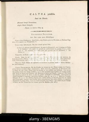 Caltha palustris, o Marsh Marigold, è presente nella tavola 0005 della Flora Batava di Jan Kops del 1800. Questa descrizione francese illustra i fiori gialli brillanti della pianta e il suo habitat paludoso, contribuendo ulteriormente alla conoscenza botanica all'inizio del XIX secolo. Foto Stock