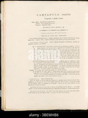 Questo piatto illustra la Campanula rotundifolia, comunemente nota come l'harebell. Il disegno, creato nel 1822 da Jan Kops (1765-1849), raffigura le caratteristiche principali di questa specie, tra cui i suoi fiori blu a forma di campana e le sue foglie strette. La pianta è originaria dell'Europa e spesso si trova nelle praterie. È noto per il suo aspetto delicato e il suo significato botanico storico. Foto Stock