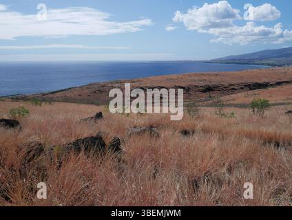 Savannah di Saint-Paul, Cap la Houssaye, Reunion Island, agosto 2022 Foto Stock