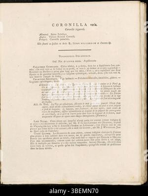 La "Coronilla varia", nota anche come "Securigera varia", è una pianta leguminosa originaria dell'Europa. Descritta da Jan Kops nel 1807 e descritta nella piastra 0138 della Flora Batava, questa specie è importante negli studi botanici della flora europea. La descrizione francese enfatizza la sua distinta struttura floreale e le sue abitudini crescenti. Foto Stock