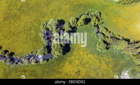 Monumento naturale sul Rot. Vista aerea. Il torrente si snoda attraverso il paesaggio primaverile vicino a Wielandsweiler, un quartiere di Schwaebisch Hall, Baden- Foto Stock