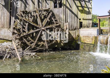 Storico mulino a martello sulla Rot vicino a Oberrot. L'edificio e la ruota ad acqua sono completamente rovinati. Oberrot, Baden-Wuerttemberg, Germania, Europa Foto Stock