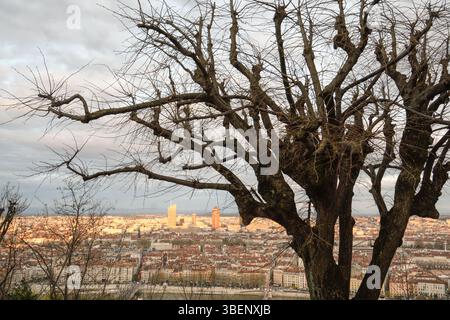 Vista panoramica di Lione attraverso gli alberi Foto Stock