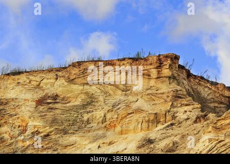 Podsol ricoperto in una cava di sabbia vicino a Osnabrueck Foto Stock