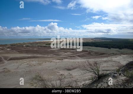 Dune sabbiose su Curonian Spit, Lituania Foto Stock