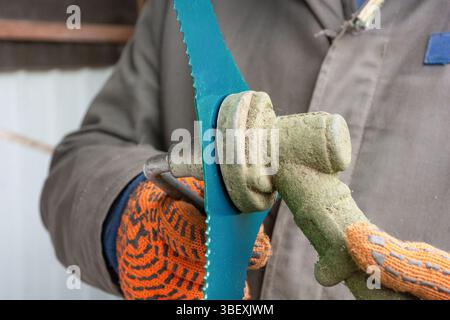 Mani maschili nei guanti per la preparazione del disco torcente del rasaerba per la falciatura dell'erba e la manutenzione del giardino Foto Stock