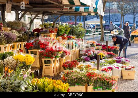 Il mercato dei fiori nel mercato centrale, Lubiana, Slovenia, Europa orientale Foto Stock