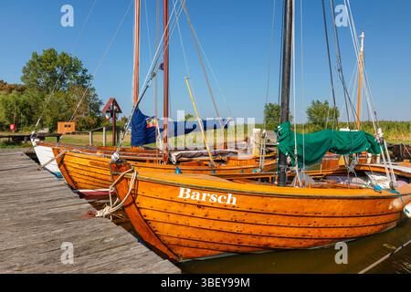 Porto di Althagen, Ahrenshoop, penisola di Fisch-Darvdz?-Zingst, Fischland, Mar Baltico, Meclemburgo-Pomerania occidentale, Germania Foto Stock