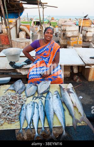 Venditore di pesce a Marina Beach, Baie of Bengal, Chennai (Madras), Coromandel Coast, Tamil Nadu State, India meridionale, Asia Foto Stock