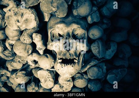 Cranio e ossa umani esposti nella cripta della chiesa di St Leonard a Hythe, Kent, Regno Unito, raffigurati in tono split monocromatico ad alto contrasto Foto Stock