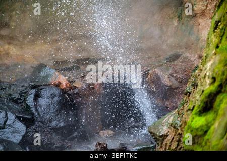 Una piccola cascata si innalza su rocce muschiate, creando una scena naturale e rinfrescante. Foto Stock