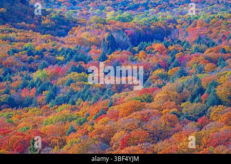 Colori autunnali vivaci nelle montagne Porcupine nel Michigan Foto Stock