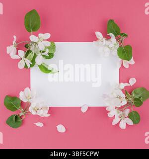 Quadrato piatto concetto laici vista in pianta del fustellato telaio cartolina mock up e melo petali di fiori sul rosa pastello con sfondo spazio copia nel minimo st Foto Stock