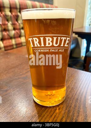 Una pinta di birra Tribute pale Ale su un tavolo di legno in un pub Foto Stock