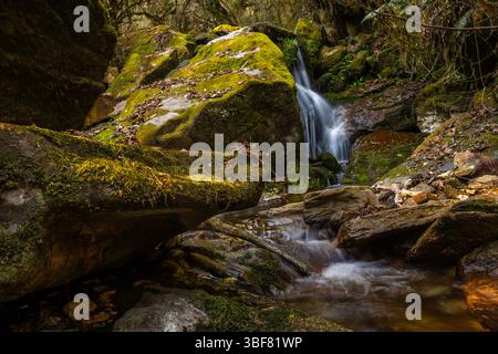 Fiume selvaggio nella giungla ai piedi delle montagne dell'Himalaya in Nepal. Foto Stock
