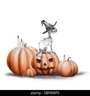 Il gatto scheletrico nel cappello da strega siede sulla zucca. Molte zucche con candele e ragnatele. La testa di Jack. Illustrazione acquerello isolata dallo sfondo. Mano Foto Stock