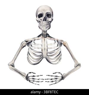 Scheletro umano. ossa, mani e cranio. disegno anatomico. Arredamento di Halloween. romantico scheletro gotico vintage. Illustrazione acquerello. Mano Foto Stock