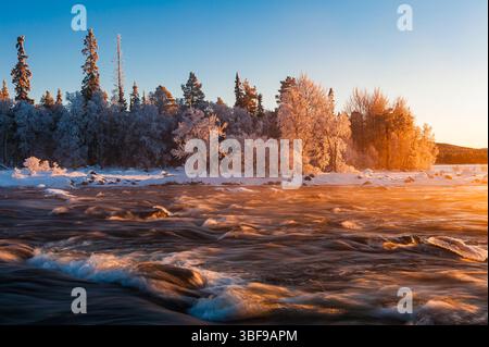 Il vibrante tramonto proietta una tonalità dorata su un fiume ghiacciato in Norvegia, con alberi spolverati di neve che fiancheggiano le rive e un'atmosfera tranquilla che esalta il n Foto Stock