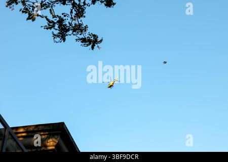 Un elicottero giallo brillante viene catturato a metà volo contro un vasto cielo azzurro, con le punte dei rami d'albero visibili in primo piano, i nastri trasportatori Foto Stock