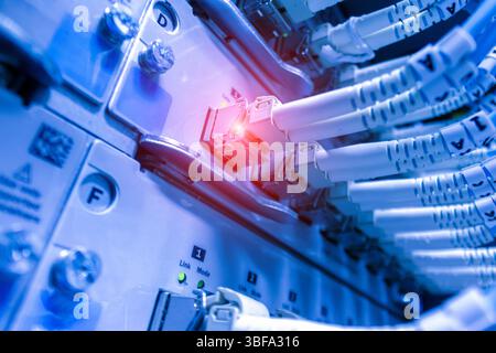 Vista ravvicinata dei cavi di rete che si collegano a un server, che mostra la tecnologia e l'infrastruttura moderne. La spia blu indica la trasmissione dati attiva Foto Stock