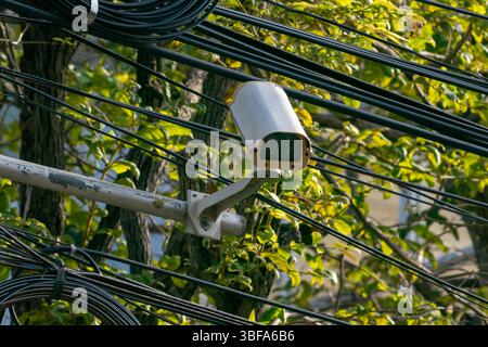 Una vista ravvicinata di una telecamera di sorveglianza urbana montata tra verde e cavi di servizio, evidenziandone l'integrazione nell'ambiente e nell'ITS Foto Stock