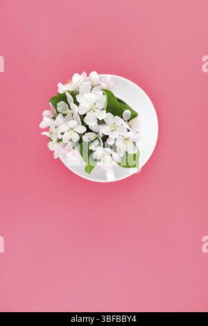 Piatti creativi concetto laici vista superiore della tazza di caffè e bianco mela albero in fiore su sfondo rosa con copia spazio in stile minimal, modello f Foto Stock