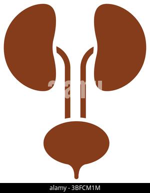 reni e urinarie isolati sullo sfondo Illustrazione Vettoriale