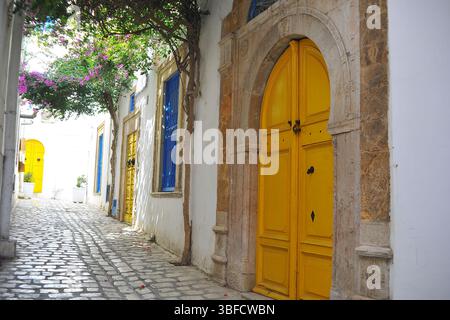 (250601) -- TUNISI, 1 giugno 2025 (Xinhua) -- questa foto mostra porte residenziali in una strada nella Medina di Tunisi, Tunisia, 31 maggio 2025. La Medina di Tunisi è stata inserita nel patrimonio dell'umanità dall'Organizzazione delle Nazioni Unite per l'educazione, la scienza e la cultura (UNESCO) nel 1979. (Foto di Adel Ezzine/Xinhua) Foto Stock