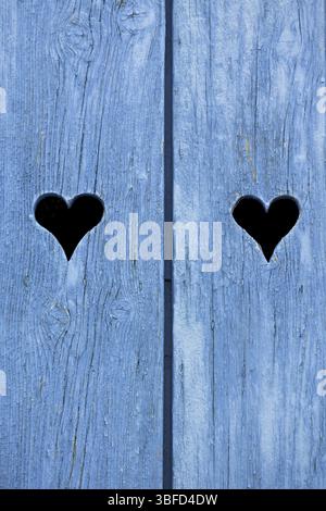 Blue persiane in legno in Francia. Colpo verticale Foto Stock