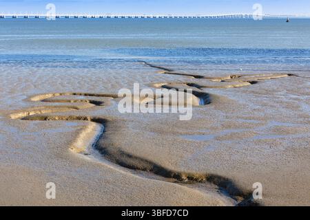 Fiume Tago a fondo di sabbia e dal Ponte Vasco da Gama come sfondo. Inquadratura orizzontale Foto Stock