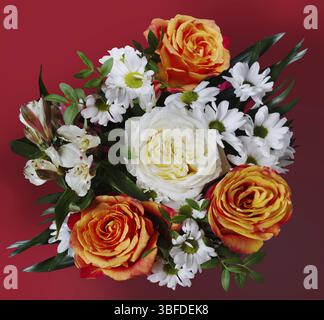 Bouquet di rose e crisantemi su sfondo Bordeaux Foto Stock