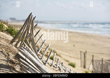 Staccionata in legno su un Atlantic Beach in Francia dalla Gironda dipartimento. Girato con una messa a fuoco selettiva Foto Stock