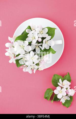 Piatti creativi concetto laici vista superiore della tazza di caffè e bianco mela albero in fiore su sfondo rosa con copia spazio in stile minimal, modello f Foto Stock