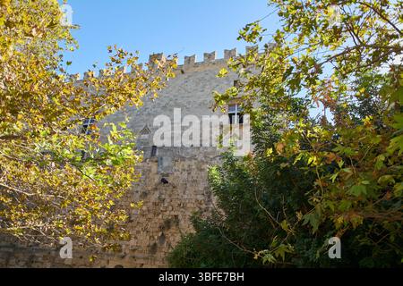 Una tranquilla scena all'aperto con l'antico palsto grossmeisterpalast, dove la luce del sole filtra attraverso alberi sopraelevati, gettando ombre attenuate sul suo histori Foto Stock