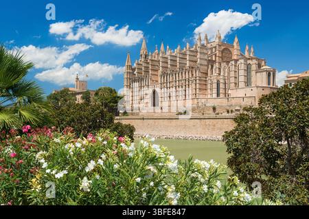 Kathedrale la Seu Palma de Mallorca -5806 Foto Stock