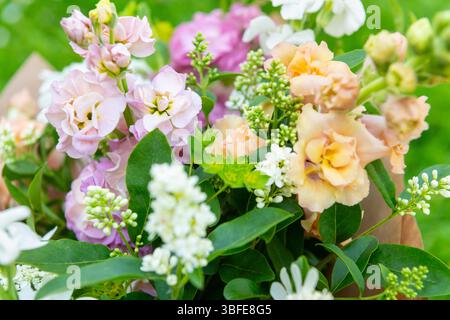 Bouquet di fiori primaverili misti. Splendida disposizione di fiori freschi color pastello. Bouquet di compleanno con draghi di dentini e brodo di matthiola. Foto Stock