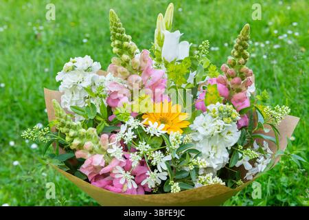 Bouquet di fiori avvolti di fiori primaverili misti. Splendida disposizione di fiori freschi color pastello. Bouquet di compleanno con draghi d'ape e matthio Foto Stock
