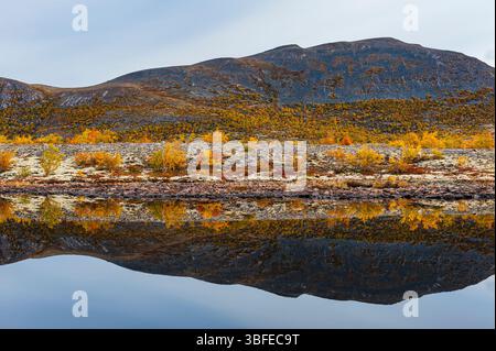 Il Rondane Nationalpark presenta vivaci sfumature autunnali con fogliame dorato che si rispecchia perfettamente nelle acque tranquille, creando una vista mozzafiato della Norvegia Foto Stock