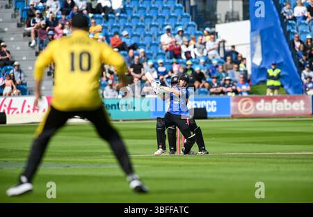 Hove UK 1 giugno 2025 - John Simpson dei Sussex Sharks batte durante la partita di cricket T20 Vitality Blast tra Sussex Sharks e Gloucestershire al 1st Central County Ground di Hove: Credit Simon Dack /TPI/ Alamy Live News Foto Stock
