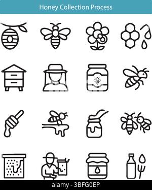 Set icone processo raccolta miele Illustrazione Vettoriale