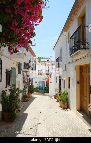 Paesaggio urbano mediterraneo spagnolo. Vicolo tranquillo con case bianche ad Altea, decorato con fiori in fiore, piante in vaso e bandiere. Altea popula Foto Stock