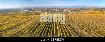 Velke Pavlovice tra i vigneti vista panoramica, vista dalla torre di osservazione Slunecna, regione meridionale della moravia, Repubblica Ceca Foto Stock