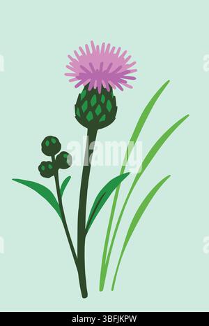 Una semplice illustrazione di un cardo con un fiore viola, gemma verde, foglie e erba circostante su uno sfondo chiaro di menta. Illustrazione Vettoriale