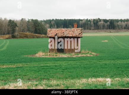 Tradizionale capanna svedese nel mezzo di un campo verde Foto Stock