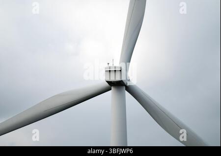 Primo piano delle pale della turbina eolica. Elettricità ecocompatibile. Foto Stock