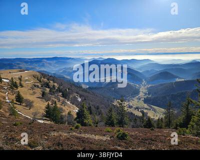 vista dal monte belchen nella germania meridionale sulla valle con le alpi sullo sfondo Foto Stock