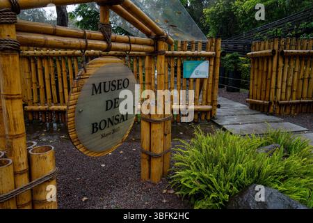 Insegna al Museo Bonsai nel Giardino Botanico Quito a Quito, Ecuador. Foto Stock