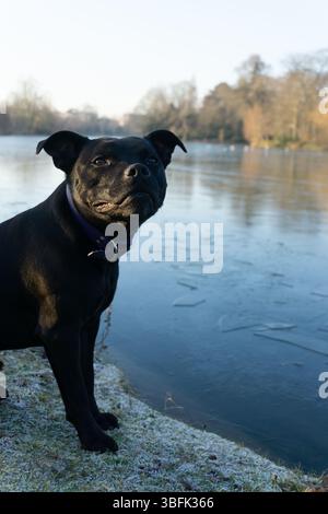 Passeggiata invernale nel Bois de Vincennes Foto Stock