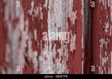 Primo piano di pareti in legno intemperie in Falu Red con vernice sbucciante, girato ad angolo per una profondità e una sfocatura. Struttura rustica della superficie nordica. Foto Stock